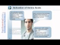 Protein Synthesis Concepts and Mechanisms