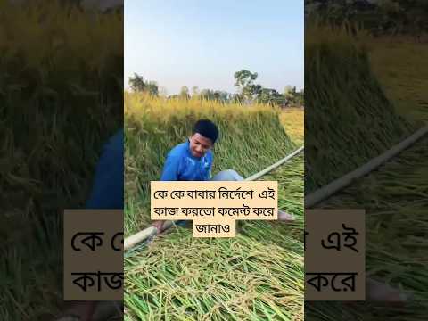 #bangladesh কে কে বাবার নির্দেশে এরকম কাজ করেছ তারাই কমেন্ট করো #foryou #shortvideo #funny #official