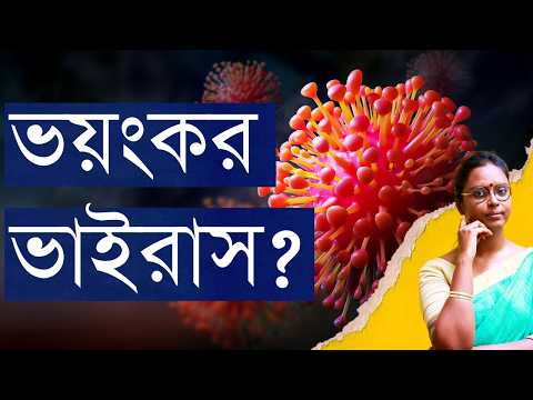 HMPV Virus | করোনার মতো চিন্তার কিছু আছে? নাকি অকারণেই ভয়ের পরিবেশ সৃষ্টি করা হচ্ছে?  উত্তর যেটা...