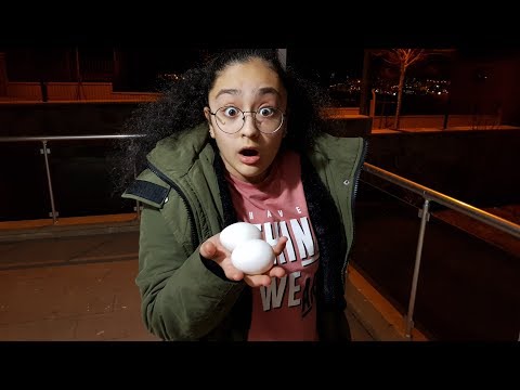 SÜHEYLA ÖRDEK YUVASINDA YUMURTA BULDU / DUCK EGG FOUND
