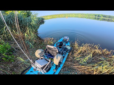 You Wouldn’t Want To Fish Here | Where Salt Meets Freshwater River