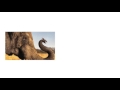Cell Biology Concepts and Discoveries