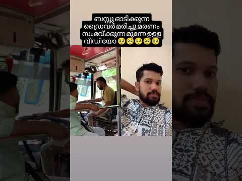നല്ല ഒരു പയ്യൻ #malayalamvlog #vlogmalayalam #kerala #youtubeshorts #youtuberecommendations #