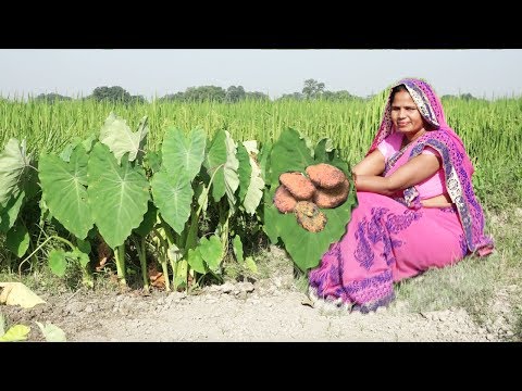 ऐसा पकवान जो मेहमान खाये तो आपके घर से कभी न जाये, अर्बी के पकोड़े Deep Fried Pkode | Rikwach Recipe