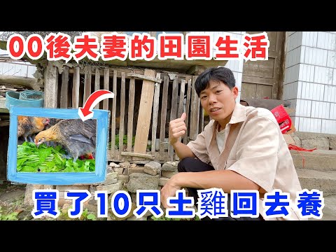 00後夫妻下定決心過田園生活，在街上買了10只土雞回去養，親自動手豐衣足食｜這樣的田園生活你喜歡嗎？