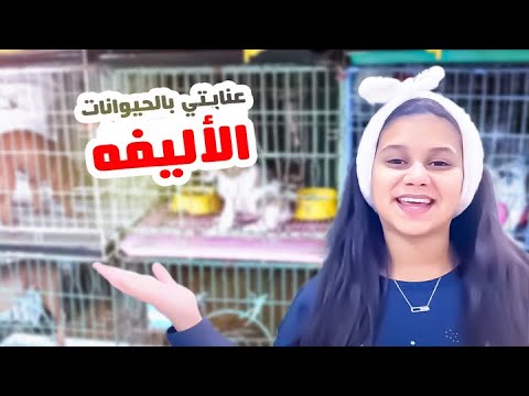 روتيني وعنايتي بالحيوانات الأليفه في منزلنا