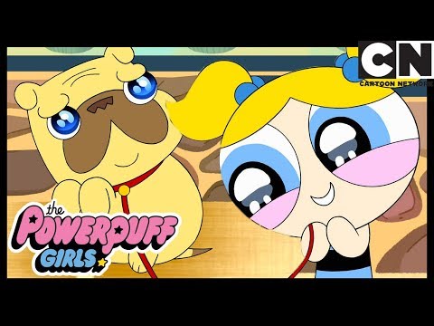 O Clube Das Babás De Cachorro | As Meninas Superpoderosas | Cartoon Network