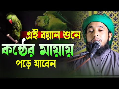 এই বয়ান শুনে কন্ঠের মায়ায় পড়ে যাবেন || মাওলানা আব্দুর রহমান সাহেব 01763213822