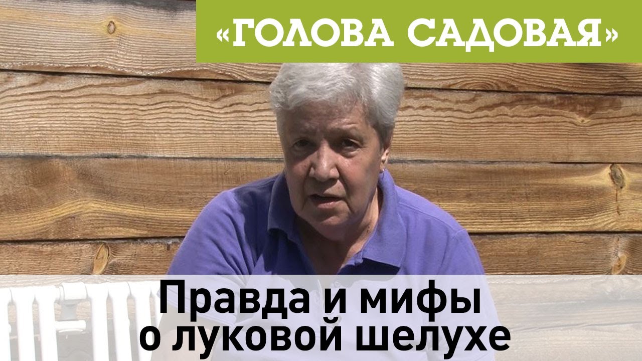 Правда и мифы о луковой шелухе