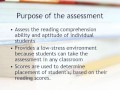 SRI Assessment Insights