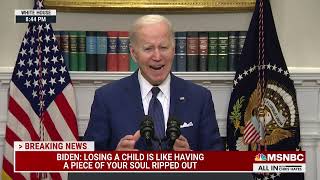 Joe Biden Talks Assault Weapons Restrictions & Texas School Shooting