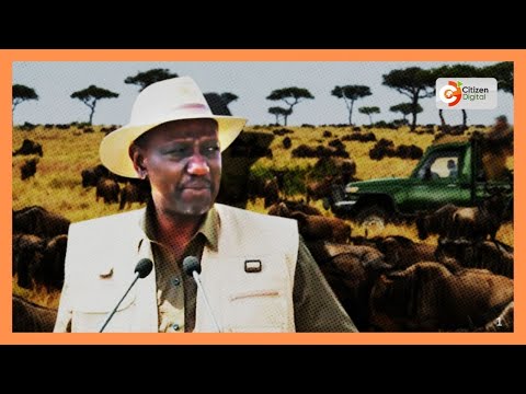 YouTube video thumbnail:  Ruto Launches Global Campaign to Boost Tourism With Wildebeest Migration Spotlight