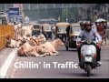 Indian Social Structure and Beliefs