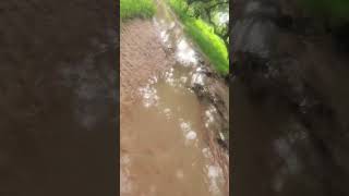 خريف الطينطان موريتانيا