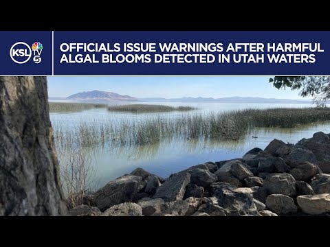 YouTube video thumbnail: Officials Issue Warnings After Harmful Algal Blooms Detected in Utah Water