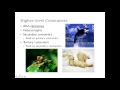 Ecosystem Dynamics and Interactions