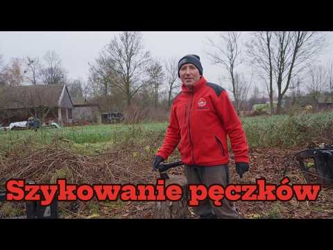 Rąbanie gałęzi i robienie pęczków Andrzej szykuje opał dla Gienka Rolnicy z Podlasia Plutycze