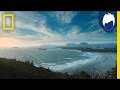 Bertie Gregory's Video Insights