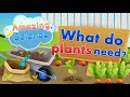 Understanding Plant Needs