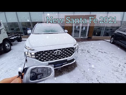 Hyundai Santa FE Top