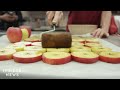 Cosmic Crisp Apple Knowledge Assessment