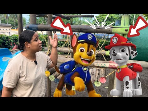 Encontramos a los Paw Patrol !! Increíble !!