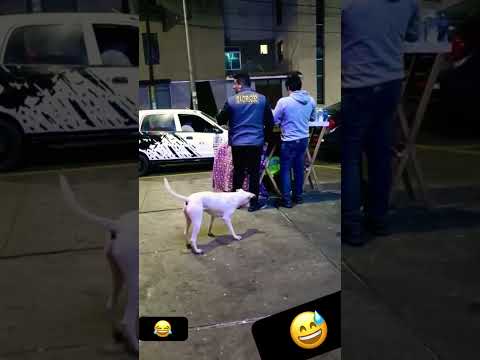 Se dejó cae como gato al bofe?#tamaulipas #sinaloa #durango #sonora #riobravo #chihuahua #alien