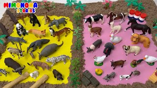Animales domésticos y salvajes 🐱🐰 Aprende los nombres de los animales ✨ Mimonona Stories