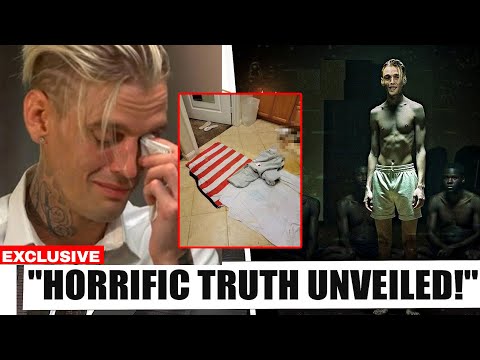 Aaron Carter’s Final Days: Shocking Revelations About Hollywood’s Hidden Agendas