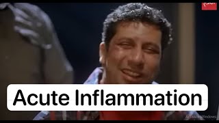 lecture 3 pathology part 1 (vascular events of inflammation)
