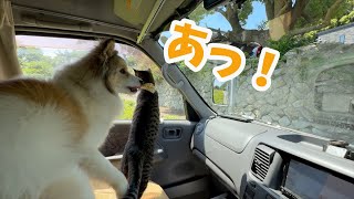 久しぶりに愛しい彼に会った時の愛犬の反応が意外でした🐶