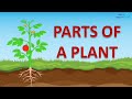 Plant Biology and Functions