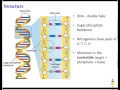 Biological Molecules and Their Functions