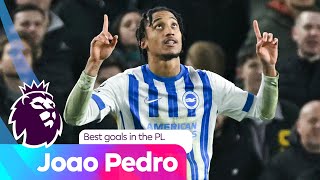 Chelsea have a new Brazilian BALLER! Joao Pedro's BEST Premier League goals