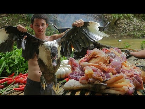 Yummy Spicy Fried Duck Recipe | Cooking Wild Duck And Eating Delicious In The Forest