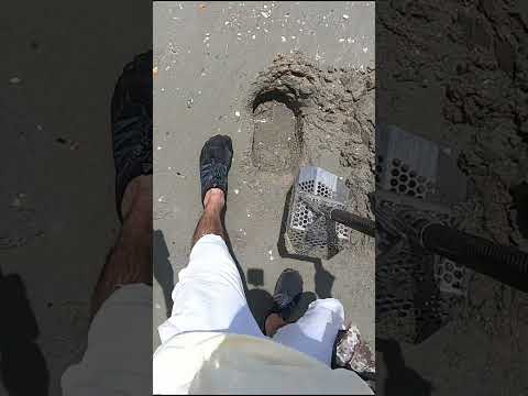 Why at the Beach #metaldetecting #shorts
