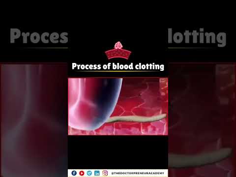 How Your Body Stops Bleeding: The Incredible Blood Clotting Process Explained! 🩸💪