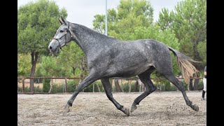 BERNA DE SUSAETA