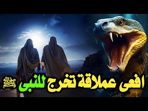 ماذا فعل النبى مع افعى عملاقة انتظرته 1000سنة