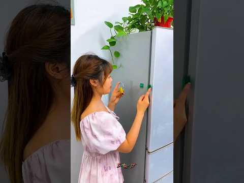 The Best Kitchen Gadgets From China!!