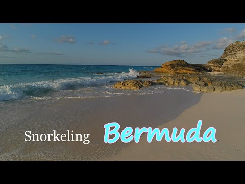 Snorkeling In Bermuda