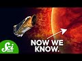 Kepler Space Telescope and Exoplanet Discovery