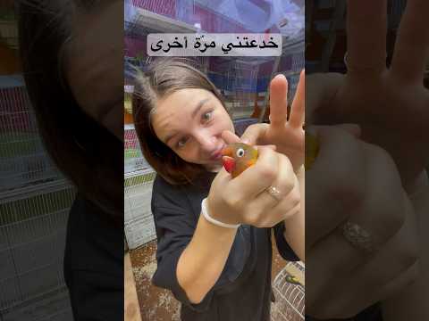 خدعتني مرّة أخرى،مغربي و روسيّة #explore #مقاطع #shortvideo #couple #مغربية #trending #ضحك #shorts