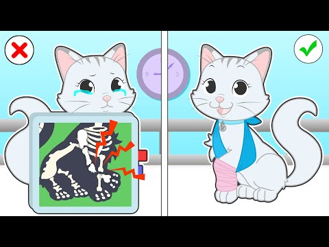 BABY PETS 🙀🚑 La Gata Kira se rompe una pata ¿Podrán salvarla en el veterinario?
