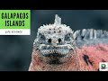 Unique Features of the Galapagos Islands