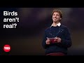 Birds Aren't Real: A Satirical Movement