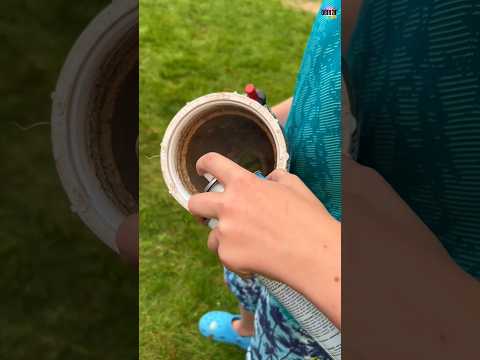 Di Amerika ada mainan ini juga ๐ค #faktaunik #sains #gas #kentang #meriam #teknologi