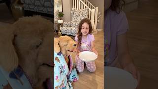 The good girls- Sierra and Rhia take care of abandoned dog￼