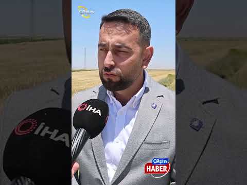 Kuraklık Etkisindeki Tarım Başkentinde Verim Düşük