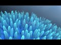 Cellular Movement and Processes
